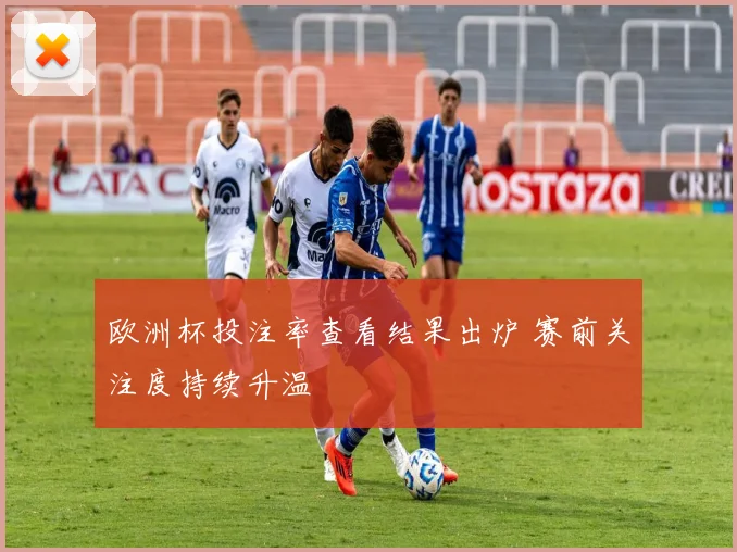 欧洲杯投注率查看结果出炉 赛前关注度持续升温