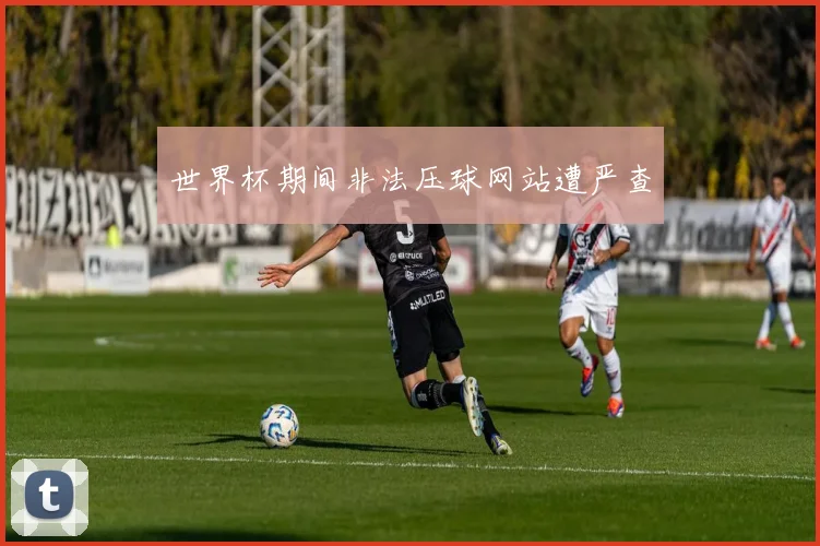 世界杯期间非法压球网站遭严查
