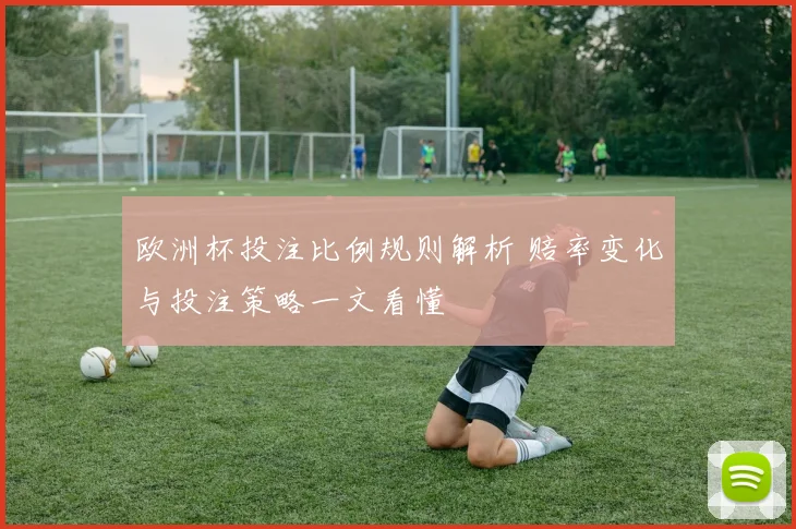 欧洲杯投注比例规则解析 赔率变化与投注策略一文看懂